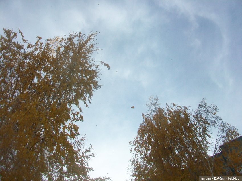 Осенние прогулки — Игровые куклы разных производителей (Разное): редкие бренды