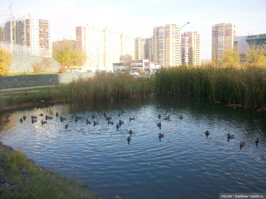 Осенние прогулки — Игровые куклы разных производителей (Разное): редкие бренды (фото 3)