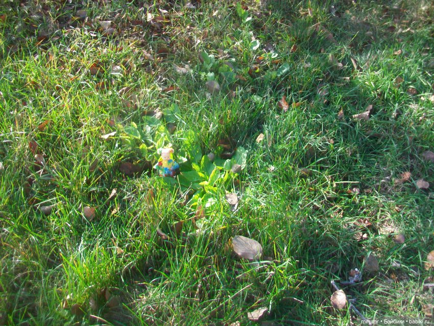 Осенние прогулки — Игровые куклы разных производителей (Разное): редкие бренды