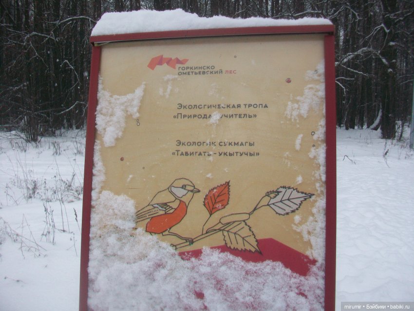 Вот уже и зима — Игровые куклы разных производителей (Разное): редкие бренды