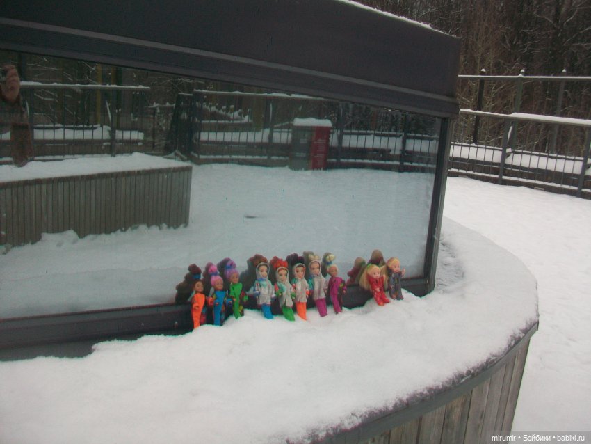 Вот уже и зима — Игровые куклы разных производителей (Разное): редкие бренды