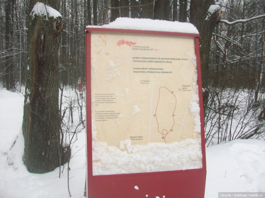 Вот уже и зима — Игровые куклы разных производителей (Разное): редкие бренды