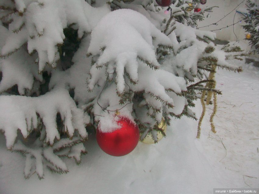 Рождество-2022 Часть 1 — Туризм и путешествия: фотоотчеты из поездок