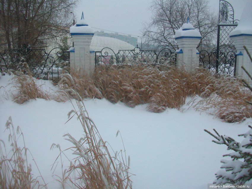 Рождество-2022 Часть 1 — Туризм и путешествия: фотоотчеты из поездок