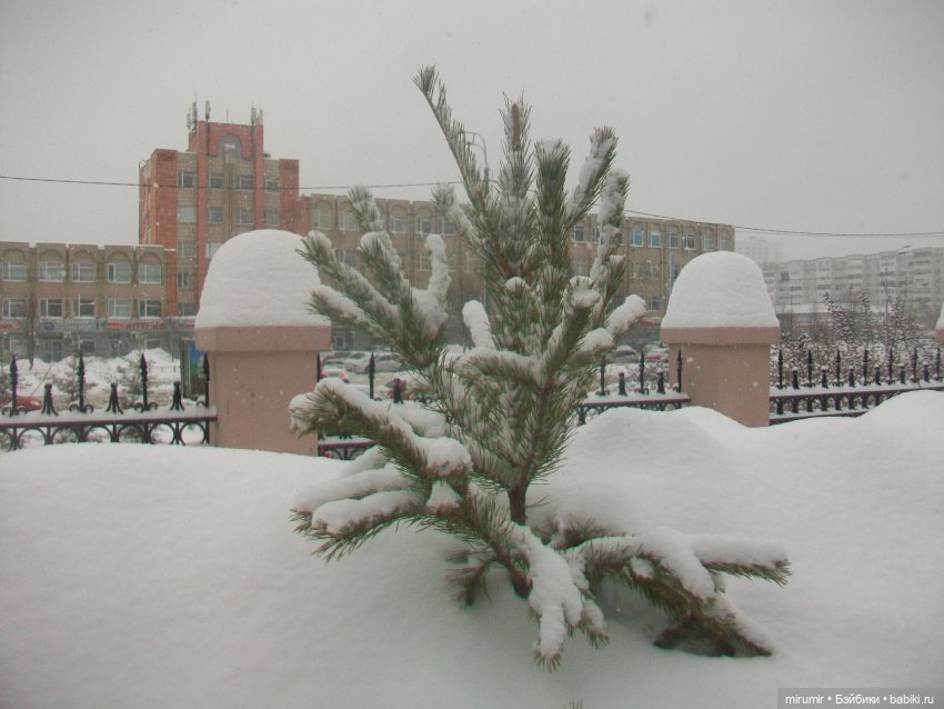 Крещение-2022 Часть 1 — Туризм и путешествия: фотоотчеты из поездок (фото 10)