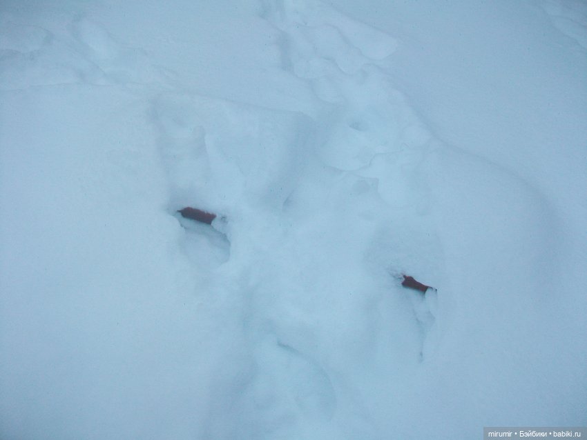 Январские прогулки — Игровые куклы разных производителей (Разное): редкие бренды