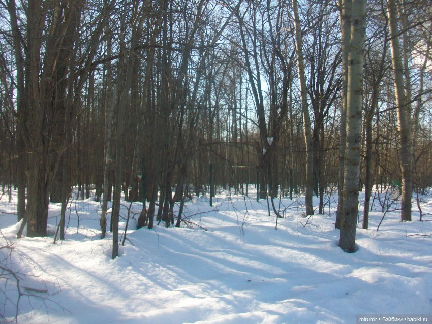 Февральские прогулки — Игровые куклы разных производителей (Разное): редкие бренды