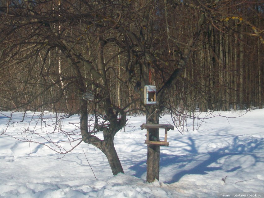 Февральские прогулки — Игровые куклы разных производителей (Разное): редкие бренды