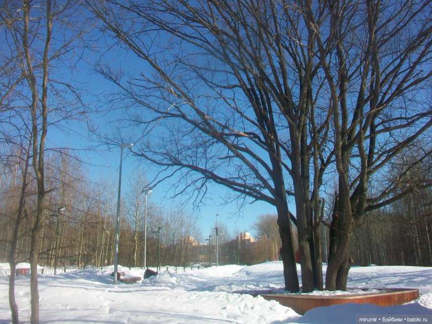 Февральские прогулки — Игровые куклы разных производителей (Разное): редкие бренды