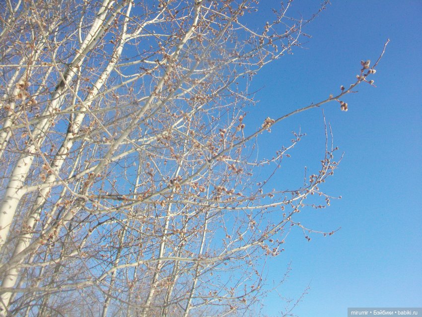 Февральские прогулки — Игровые куклы разных производителей (Разное): редкие бренды