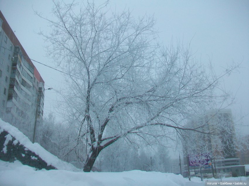 Февральские прогулки — Игровые куклы разных производителей (Разное): редкие бренды (фото 10)