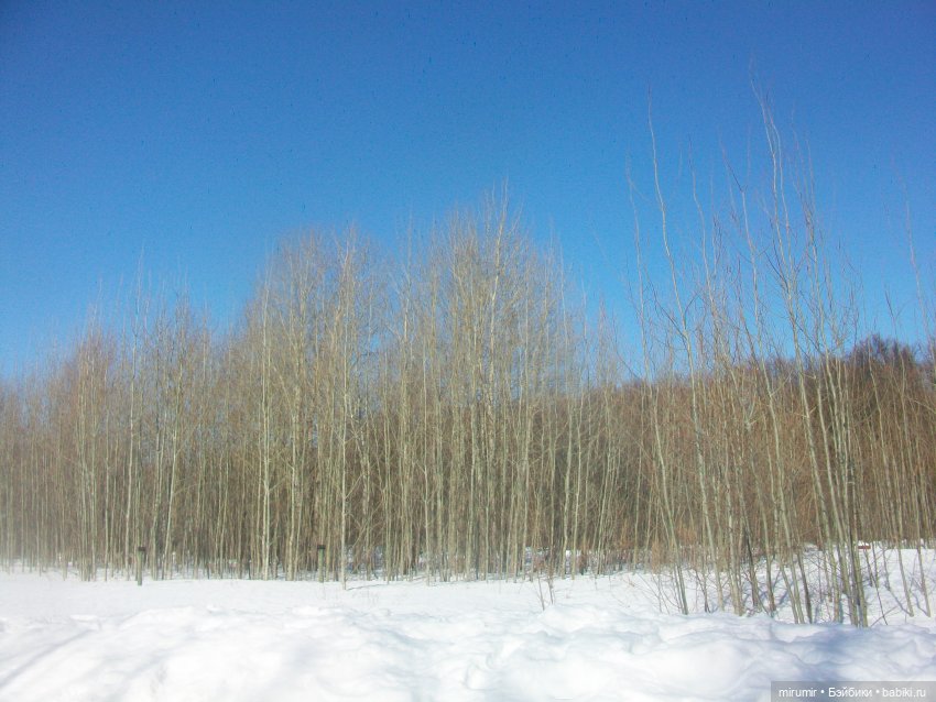 Февральские прогулки — Игровые куклы разных производителей (Разное): редкие бренды