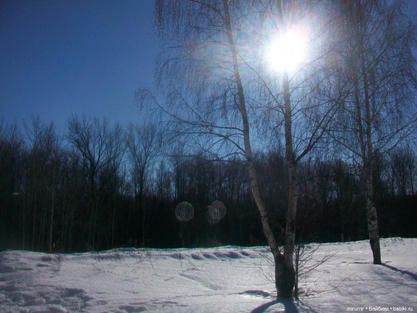 Февральские прогулки — Игровые куклы разных производителей (Разное): редкие бренды