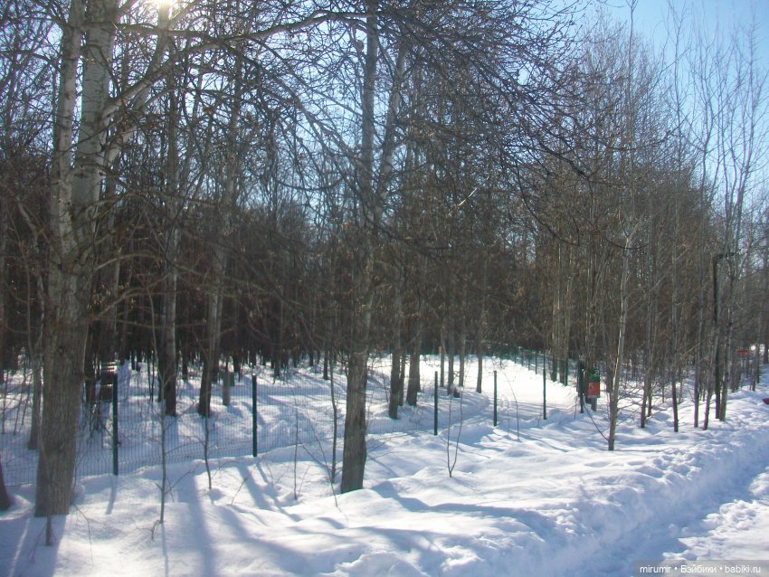 Февральские прогулки — Игровые куклы разных производителей (Разное): редкие бренды