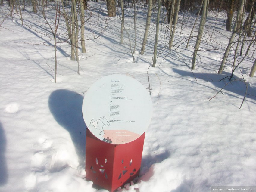 Февральские прогулки — Игровые куклы разных производителей (Разное): редкие бренды