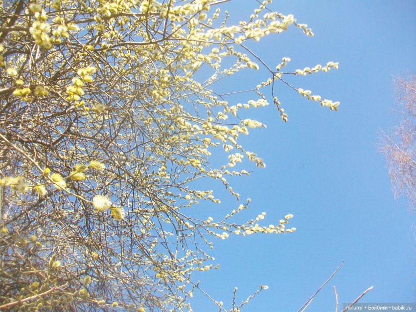 Мои принцессы Диснея — Игровые куклы разных производителей (Разное): редкие бренды