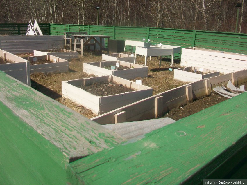 Мои принцессы Диснея — Игровые куклы разных производителей (Разное): редкие бренды