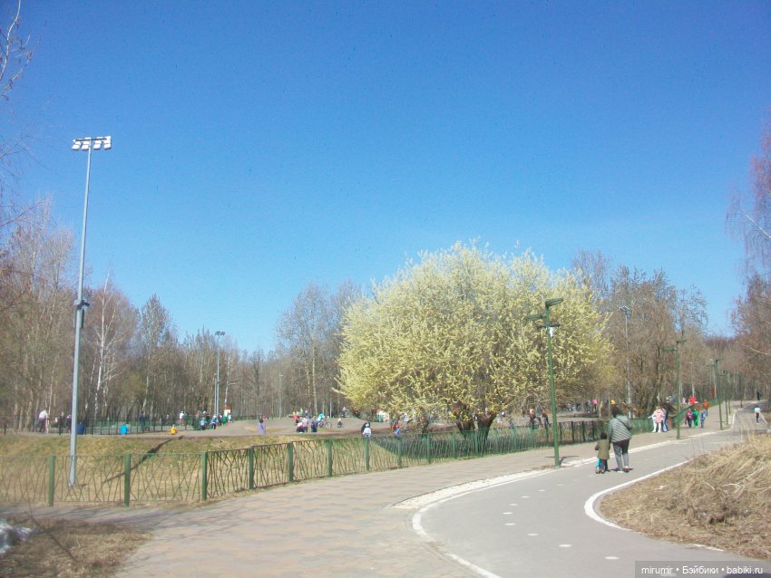 Мои принцессы Диснея — Игровые куклы разных производителей (Разное): редкие бренды