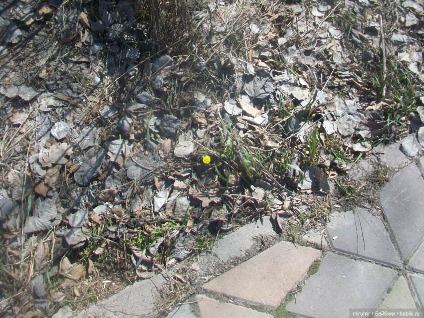 Мои принцессы Диснея — Игровые куклы разных производителей (Разное): редкие бренды