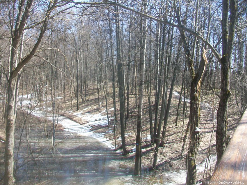 Мои принцессы Диснея — Игровые куклы разных производителей (Разное): редкие бренды