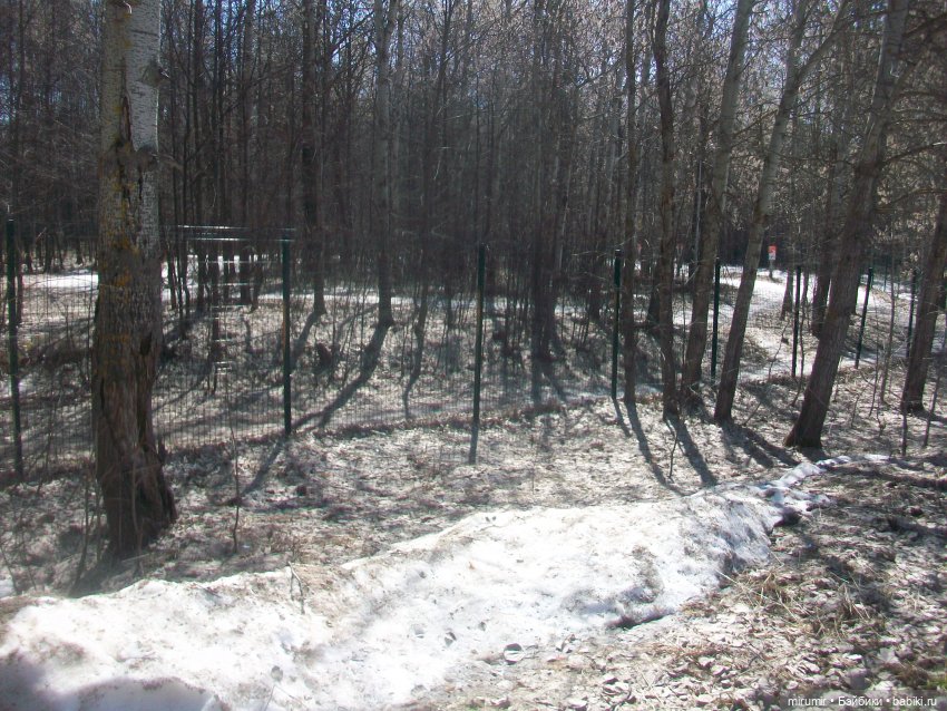 Мои принцессы Диснея — Игровые куклы разных производителей (Разное): редкие бренды (фото 8)