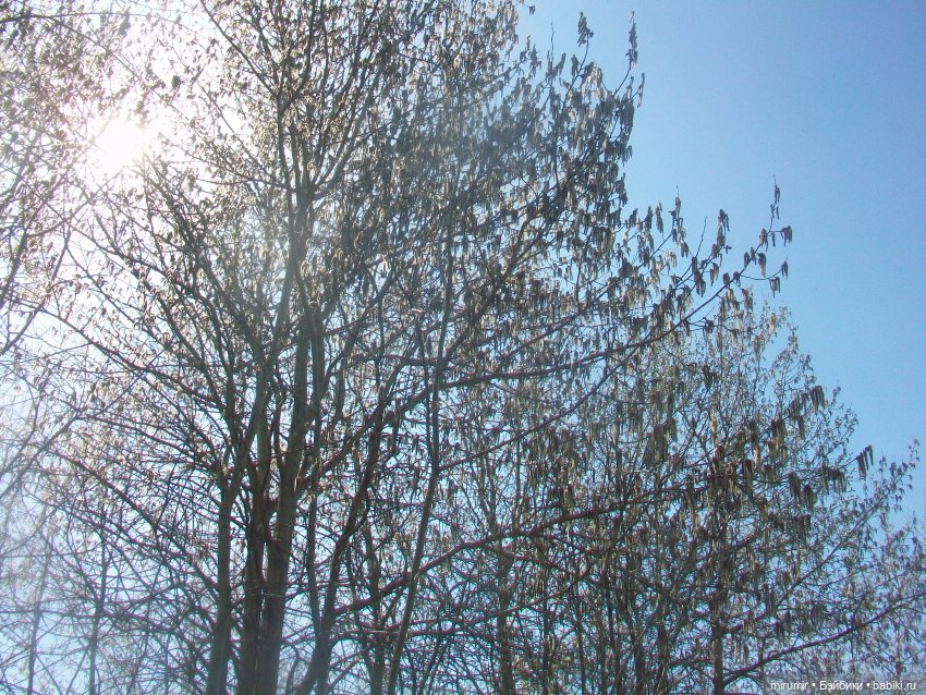 Мои принцессы Диснея — Игровые куклы разных производителей (Разное): редкие бренды (фото 2)