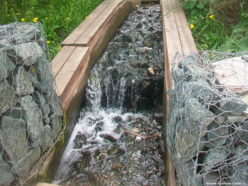 Июньские прогулки - 1 — Игровые куклы разных производителей (Разное): редкие бренды (фото 5)