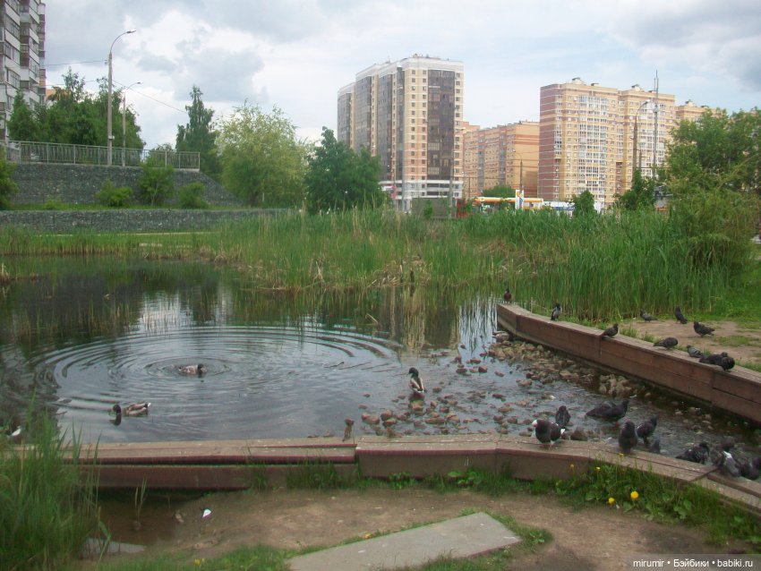 Июньские прогулки - 1 — Игровые куклы разных производителей (Разное): редкие бренды (фото 4)