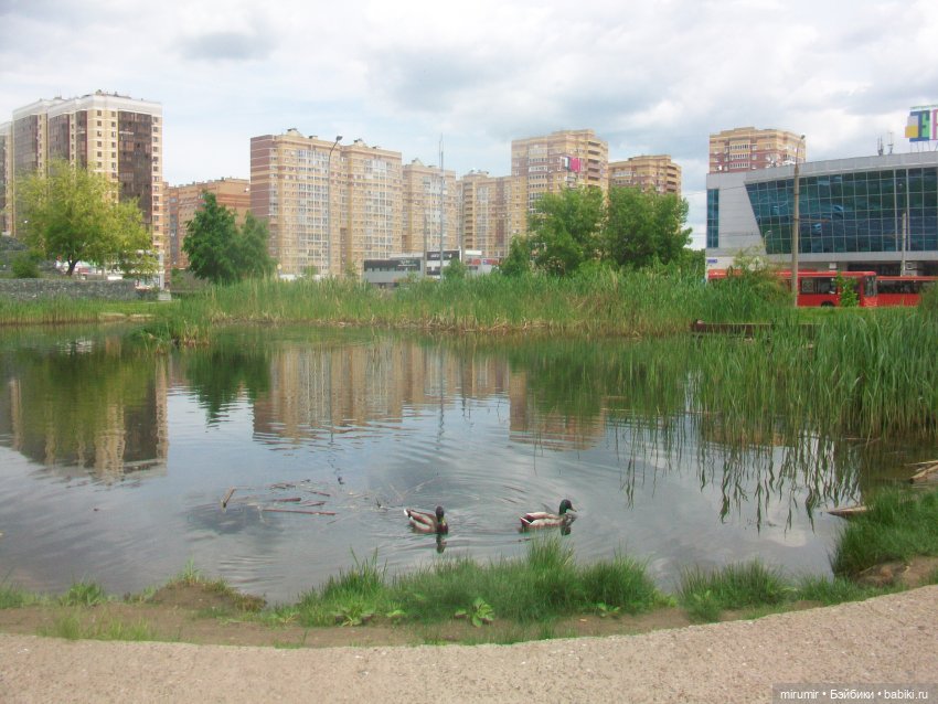 Июньские прогулки - 1 — Игровые куклы разных производителей (Разное): редкие бренды (фото 8)