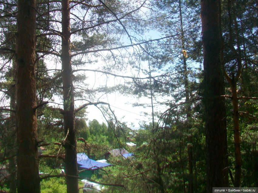 Июньские прогулки - 2 — Игровые куклы разных производителей (Разное): редкие бренды