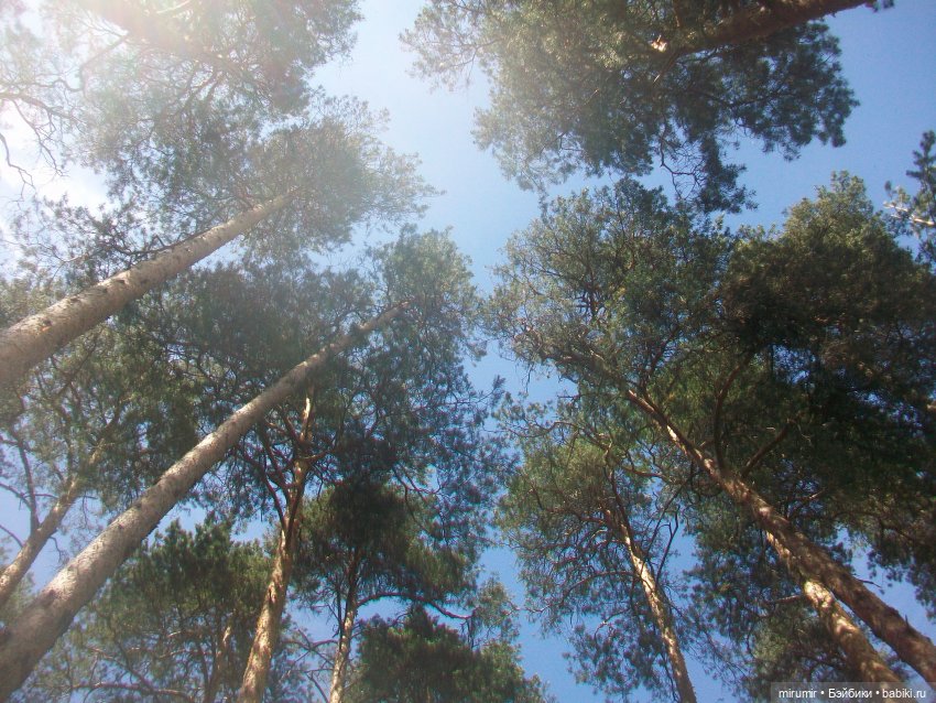 Июньские прогулки - 2 — Игровые куклы разных производителей (Разное): редкие бренды