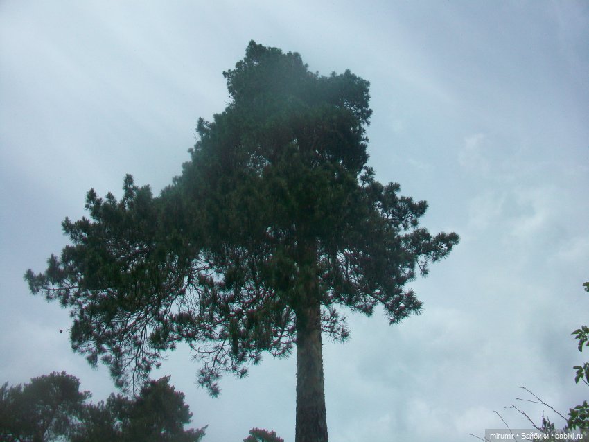 Июньские прогулки - 2 — Игровые куклы разных производителей (Разное): редкие бренды