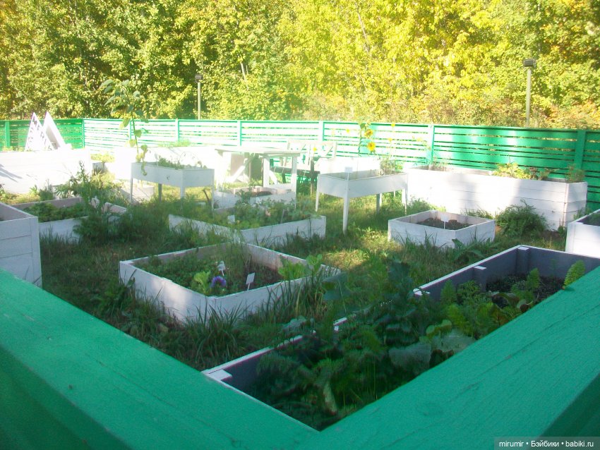 Гриль-фест — Игровые куклы разных производителей (Разное): редкие бренды (фото 9)