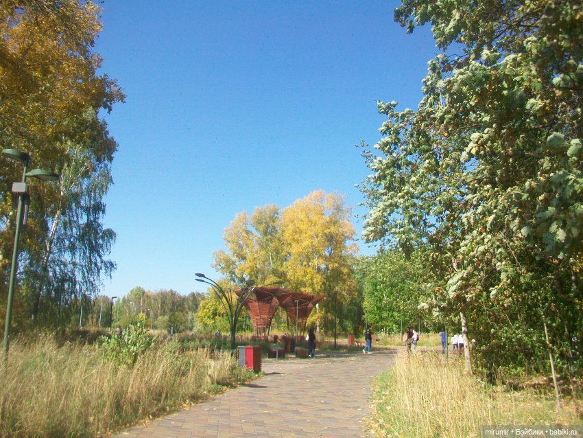 Гриль-фест — Игровые куклы разных производителей (Разное): редкие бренды