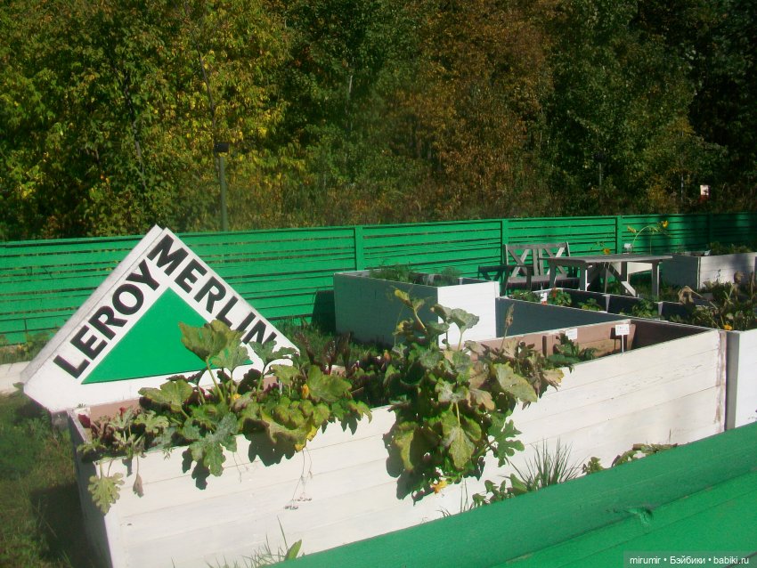 Гриль-фест — Игровые куклы разных производителей (Разное): редкие бренды (фото 10)