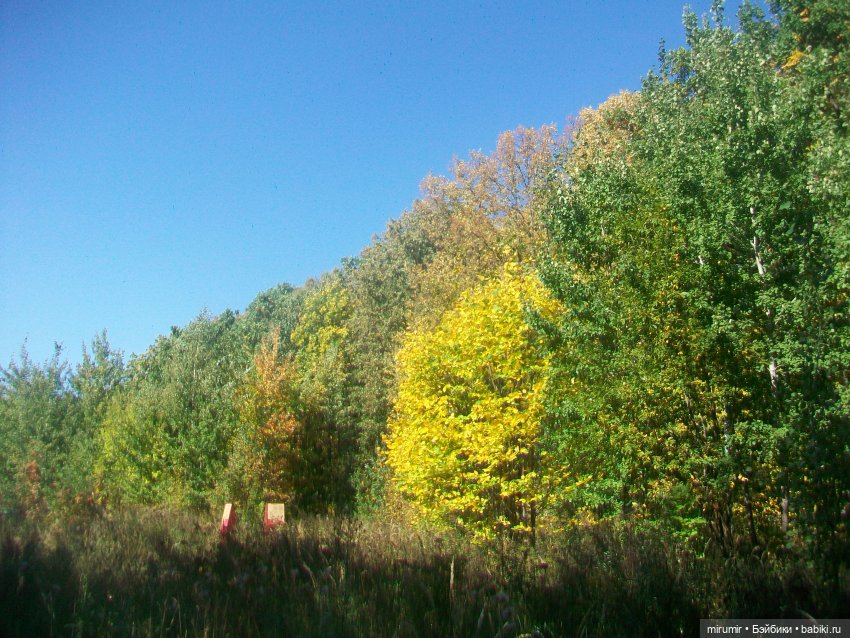 Гриль-фест — Игровые куклы разных производителей (Разное): редкие бренды (фото 8)