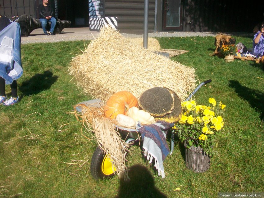 Гриль-фест — Игровые куклы разных производителей (Разное): редкие бренды