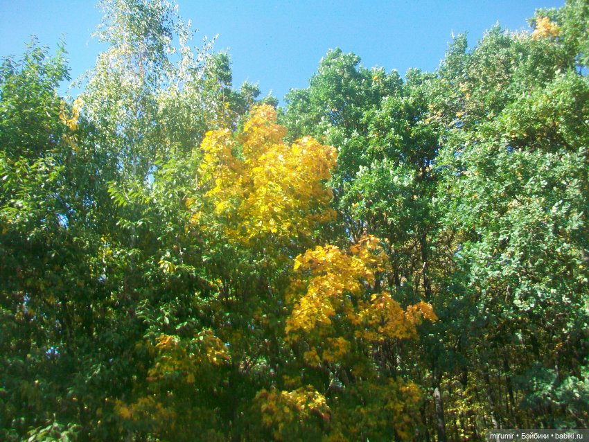 Гриль-фест — Игровые куклы разных производителей (Разное): редкие бренды (фото 7)