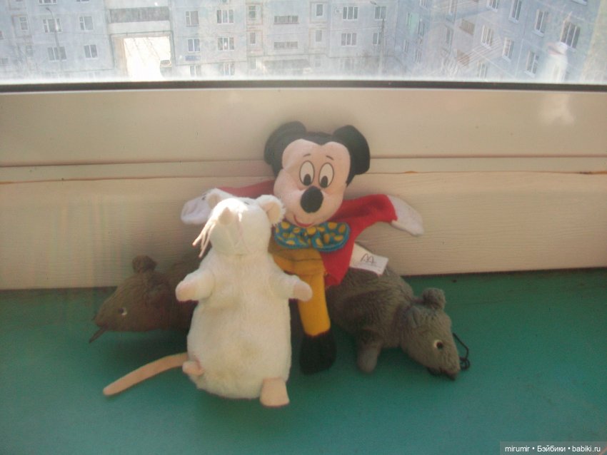 Нашли символ года — Игровые куклы разных производителей (Разное): редкие бренды