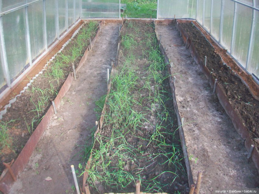 Осень, осень — Игровые куклы разных производителей (Разное): редкие бренды