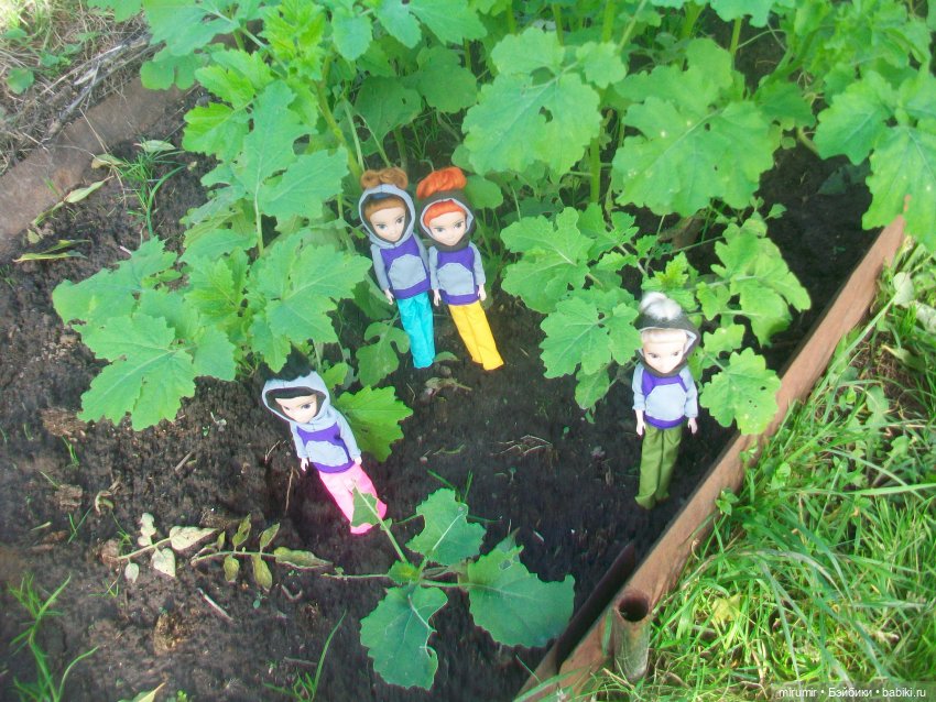 Осень, осень — Игровые куклы разных производителей (Разное): редкие бренды