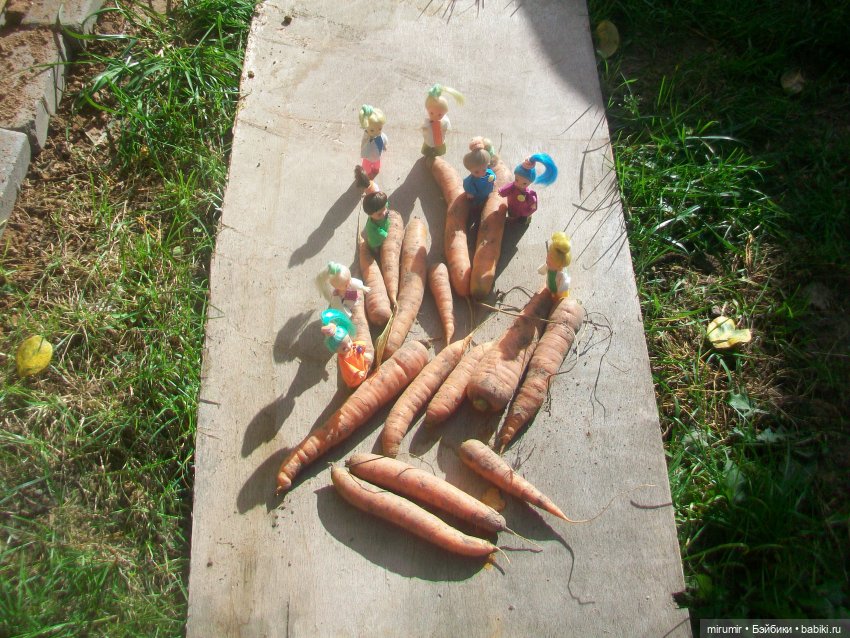 Осень, осень — Игровые куклы разных производителей (Разное): редкие бренды (фото 10)