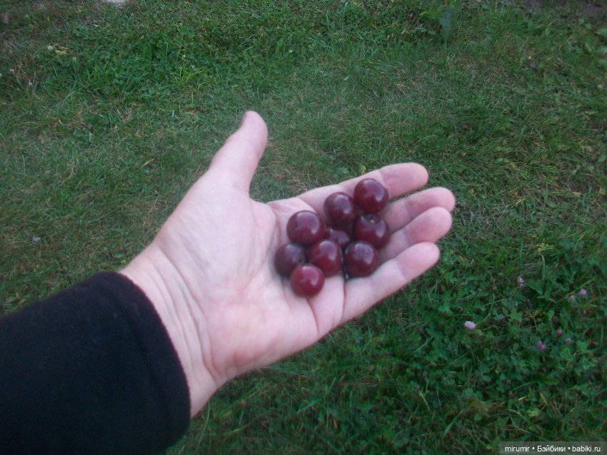 Осень, осень — Игровые куклы разных производителей (Разное): редкие бренды