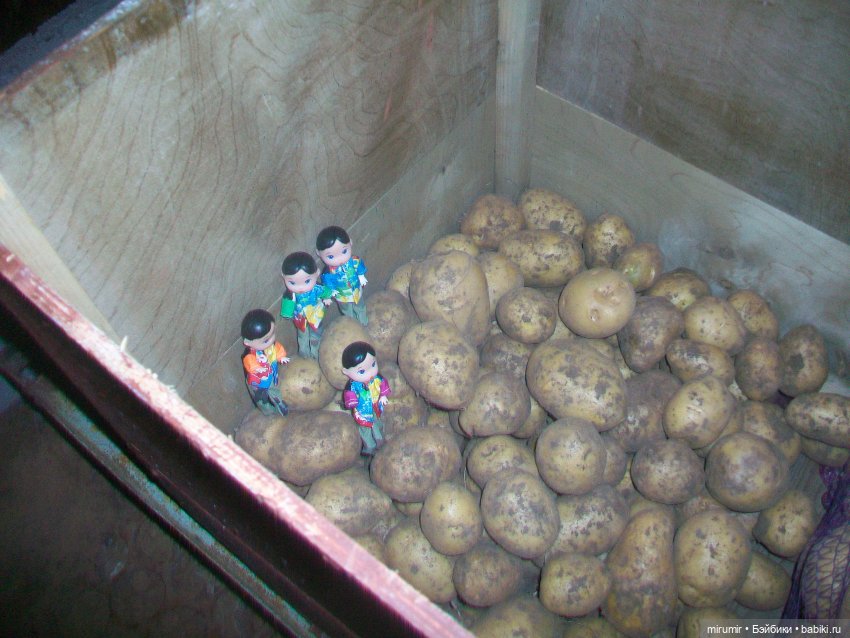 Осень, осень — Игровые куклы разных производителей (Разное): редкие бренды