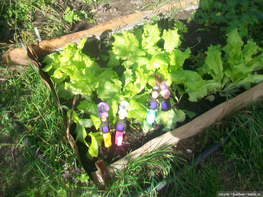 Осень, осень — Игровые куклы разных производителей (Разное): редкие бренды