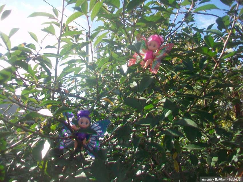 Осень, осень — Игровые куклы разных производителей (Разное): редкие бренды (фото 6)