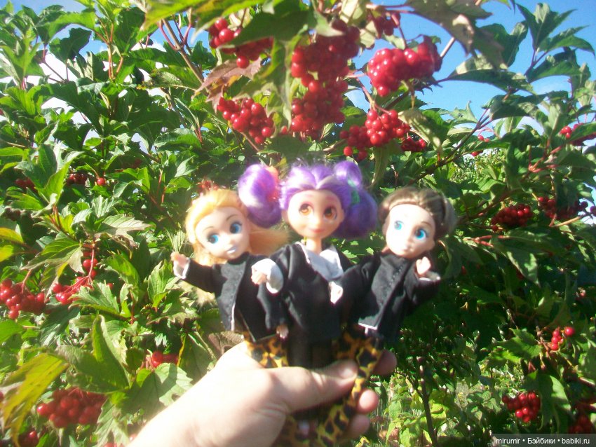 Осень, осень — Игровые куклы разных производителей (Разное): редкие бренды