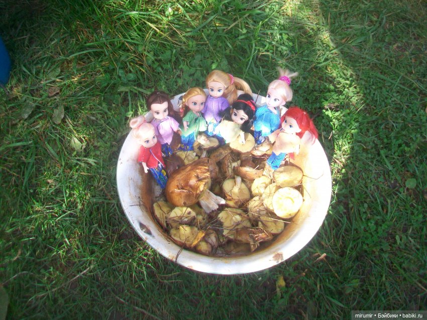 Осень, осень — Игровые куклы разных производителей (Разное): редкие бренды