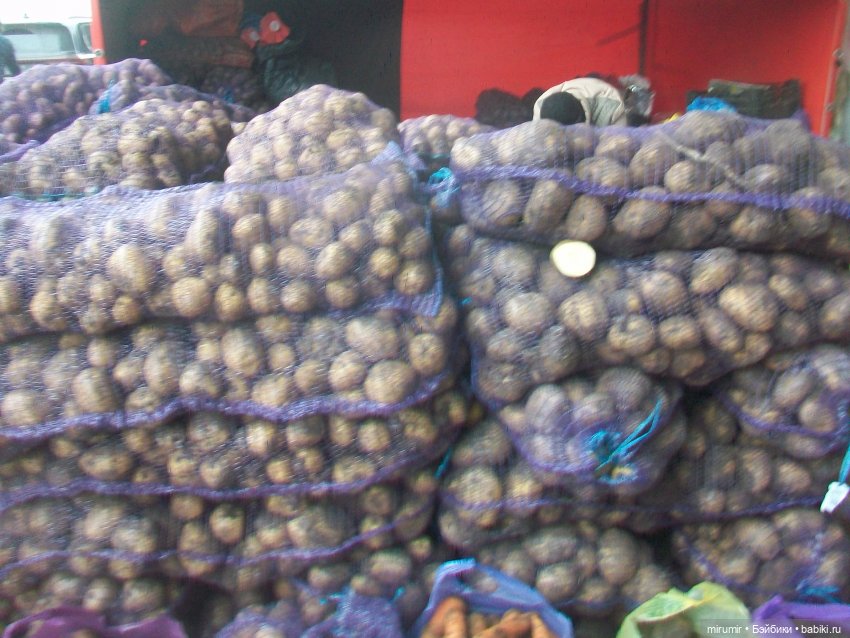 На ярмарке — Игровые куклы разных производителей (Разное): редкие бренды (фото 7)