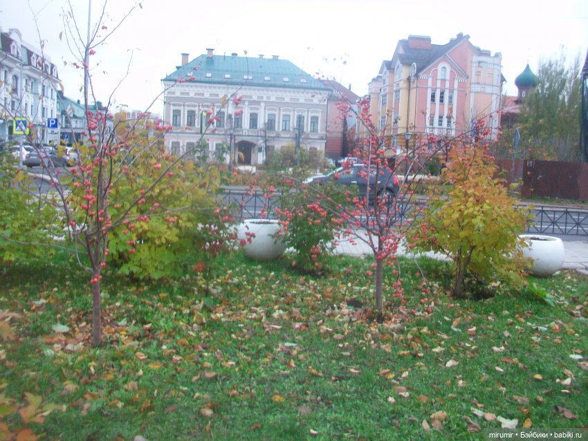 Ноябрьские прогулки - 1 — Игровые куклы разных производителей (Разное): редкие бренды